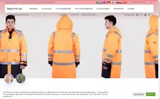 Neonhivis.com Screenshot 2024-05-20 00:41:43