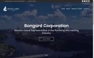 Bongard.com Screenshot 2024-07-06 21:26:31