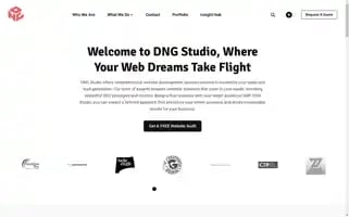 Dngstudio.co Screenshot 2024-06-28 11:41:59