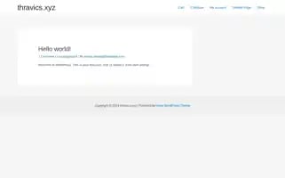 Thravics.xyz Screenshot 2024-05-20 04:13:17