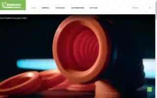 Barbierirubber.es Screenshot 2024-06-16 23:35:04