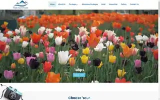 Peakstoursandtravels.com Screenshot 2024-04-23 15:33:37