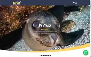 Mexicotraveladventure.com Screenshot 2024-04-16 07:11:20