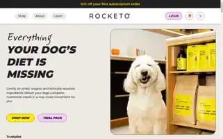 Gorocketo.com Screenshot 2024-06-12 08:41:08