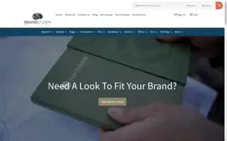 Brandstormsolutions.com Screenshot 2024-05-15 15:22:32