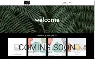 Dian-essentials.com Screenshot 2024-05-18 12:50:59