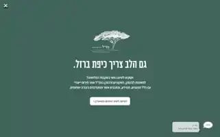 Natal.org.il Screenshot 2024-06-16 01:22:34