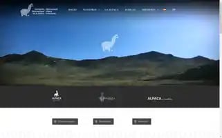 Aia.org.pe Screenshot 2024-07-03 04:54:22