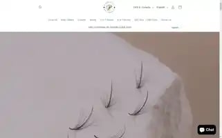 Pinneaclelash.com Screenshot 2024-05-23 22:14:17