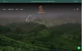 Templodocha.com Screenshot 2024-05-28 13:11:20