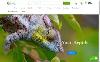 Reptileshomemall.com Screenshot 2024-06-19 01:48:19