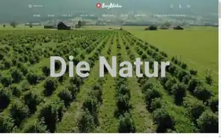 Bergblueten.ch Screenshot 2024-07-03 07:44:50