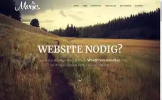 Vlindermedia.nl Screenshot 2024-06-17 01:28:46