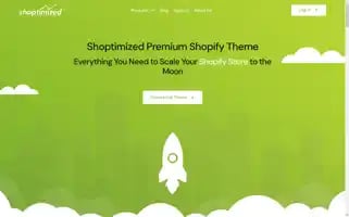 Shoptimized.net Screenshot 2024-05-13 22:22:00