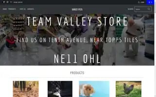 Direct-pets.com Screenshot 2024-05-05 22:53:42