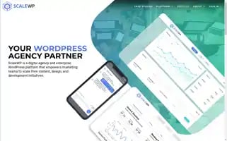 Scalewp.com Screenshot 2024-07-01 11:17:38