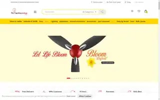 Theelectriconline.com Screenshot 2024-05-14 08:28:23