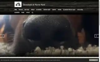 Dierenhoteldewarmemand.nl Screenshot 2024-04-17 02:51:06