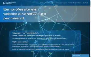 Professionelewebsites.eu Screenshot 2024-06-14 10:20:23