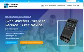 Bluecubelifeline.com Screenshot 2024-06-28 19:30:55