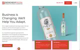 Datachieve.com Screenshot 2024-06-28 19:52:09