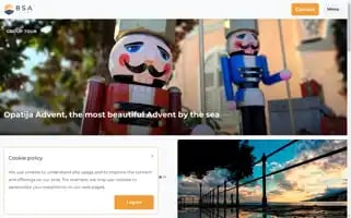 Bsa-tours.com Screenshot 2024-04-18 14:10:21