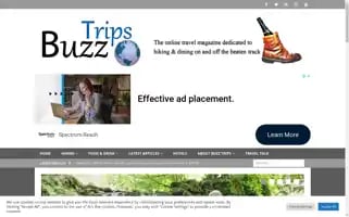 Buzztrips.co.uk Screenshot 2024-04-25 03:27:21