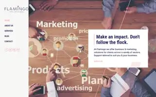 Creative-flamingo.com Screenshot 2024-06-13 20:58:25