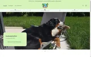 Toutousolution.com Screenshot 2024-04-27 11:06:34