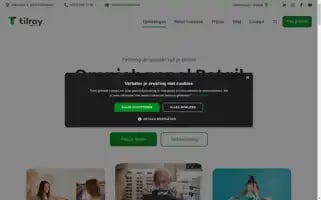 Tilroy.com Screenshot 2024-06-29 22:35:57