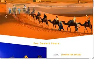 Luxuryfestours.com Screenshot 2024-04-15 14:55:09