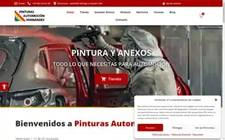 Pinturashernandez.com Screenshot 2024-06-17 03:32:30