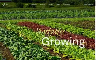 Sanctainvestmentsltd.com Screenshot 2024-05-22 03:47:44