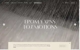 Vanellitextile.com Screenshot 2024-06-29 11:18:46