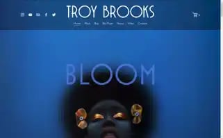 Troybrooks.com Screenshot 2024-05-06 00:01:16