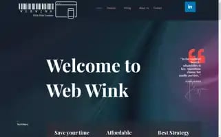 Webwink.online Screenshot 2024-05-29 13:23:47