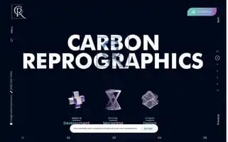 Carbonrepro.com Screenshot 2024-06-17 06:24:34