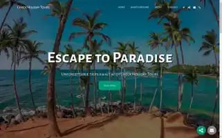 Checkholidaytours.com Screenshot 2024-04-15 19:35:44