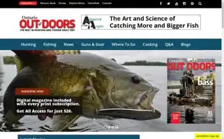 Oodmag.com Screenshot 2024-05-13 06:27:49