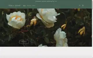 Starandseed.co Screenshot 2024-04-27 14:30:55