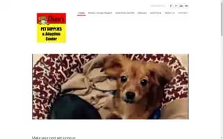 Ddpets.com Screenshot 2024-05-09 08:58:23