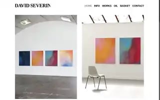 Davidseverin.de Screenshot 2024-05-19 15:03:32