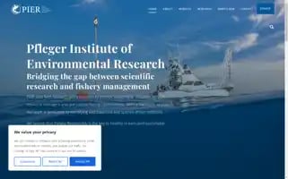 Pier.org Screenshot 2024-06-13 15:51:08