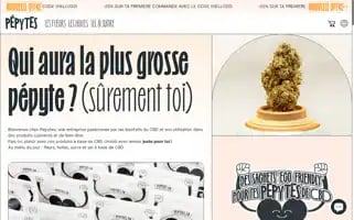 Pepytes.fr Screenshot 2024-05-03 14:13:17