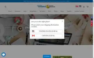 Wildwood.express Screenshot 2024-05-15 03:17:19