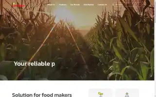 Lamtana.com Screenshot 2024-05-28 09:20:26