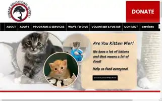Heschatt.org Screenshot 2024-07-09 18:08:52