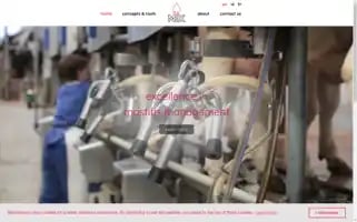 Mexcellence.eu Screenshot 2024-07-02 09:50:31