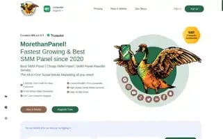 Morethanpanel.com Screenshot 2024-07-09 18:43:21