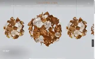 Collectiveform.com Screenshot 2024-05-05 06:42:01